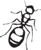 Sketch Of An Ant Clip Art